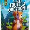 C'EST TOUTE LA QUESTION !