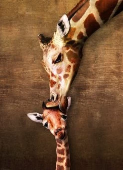 1000P LA MAMAN GIRAFE ET SON GIRAFON